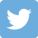 ESH Mail Twitter Logo