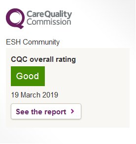 cqc 2019 esh report image